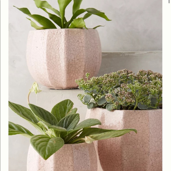 Posh💕 - Picture 15 of 16